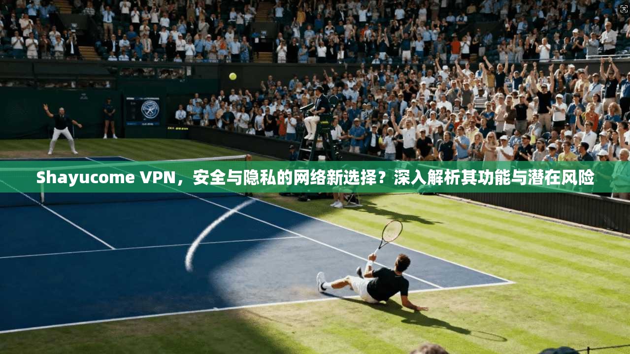 Shayucome VPN，安全与隐私的网络新选择？深入解析其功能与潜在风险  第1张