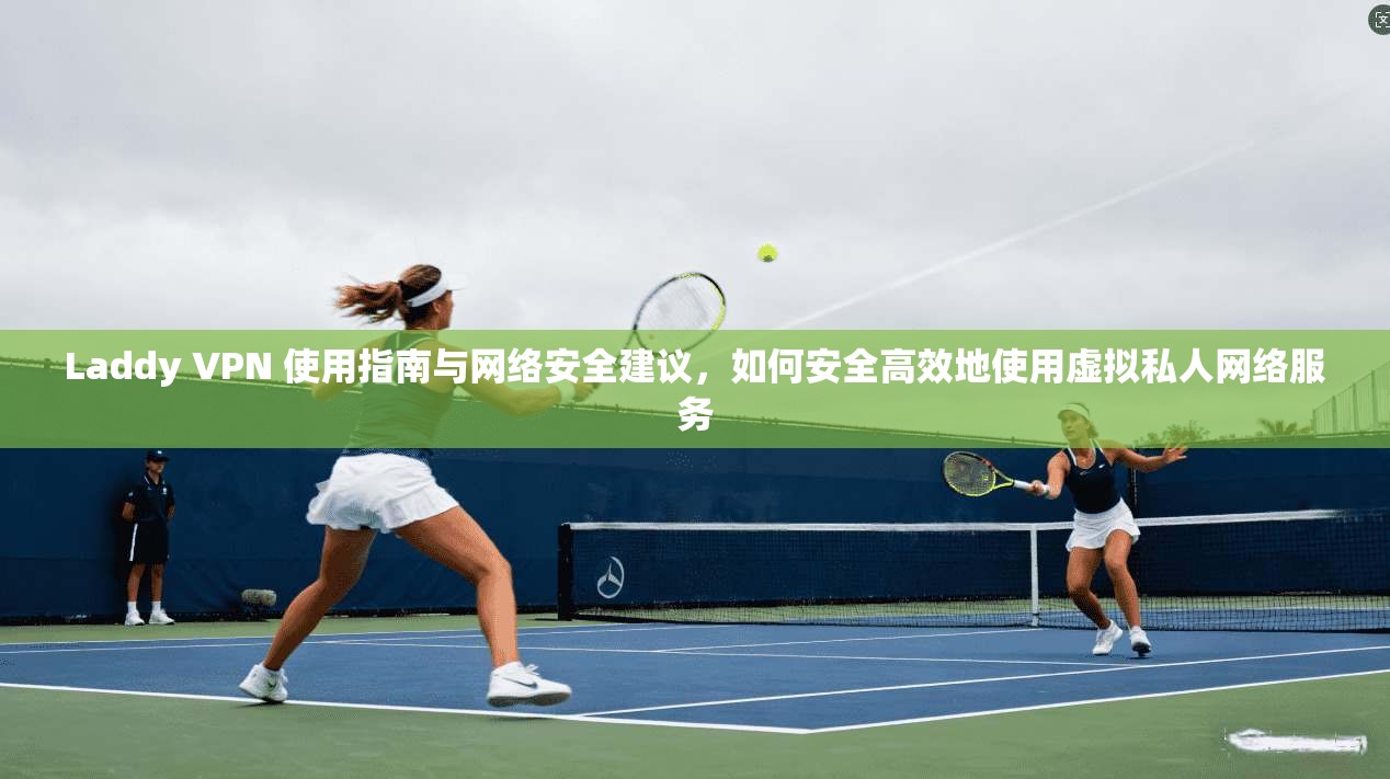 Laddy VPN 使用指南与网络安全建议，如何安全高效地使用虚拟私人网络服务  第1张