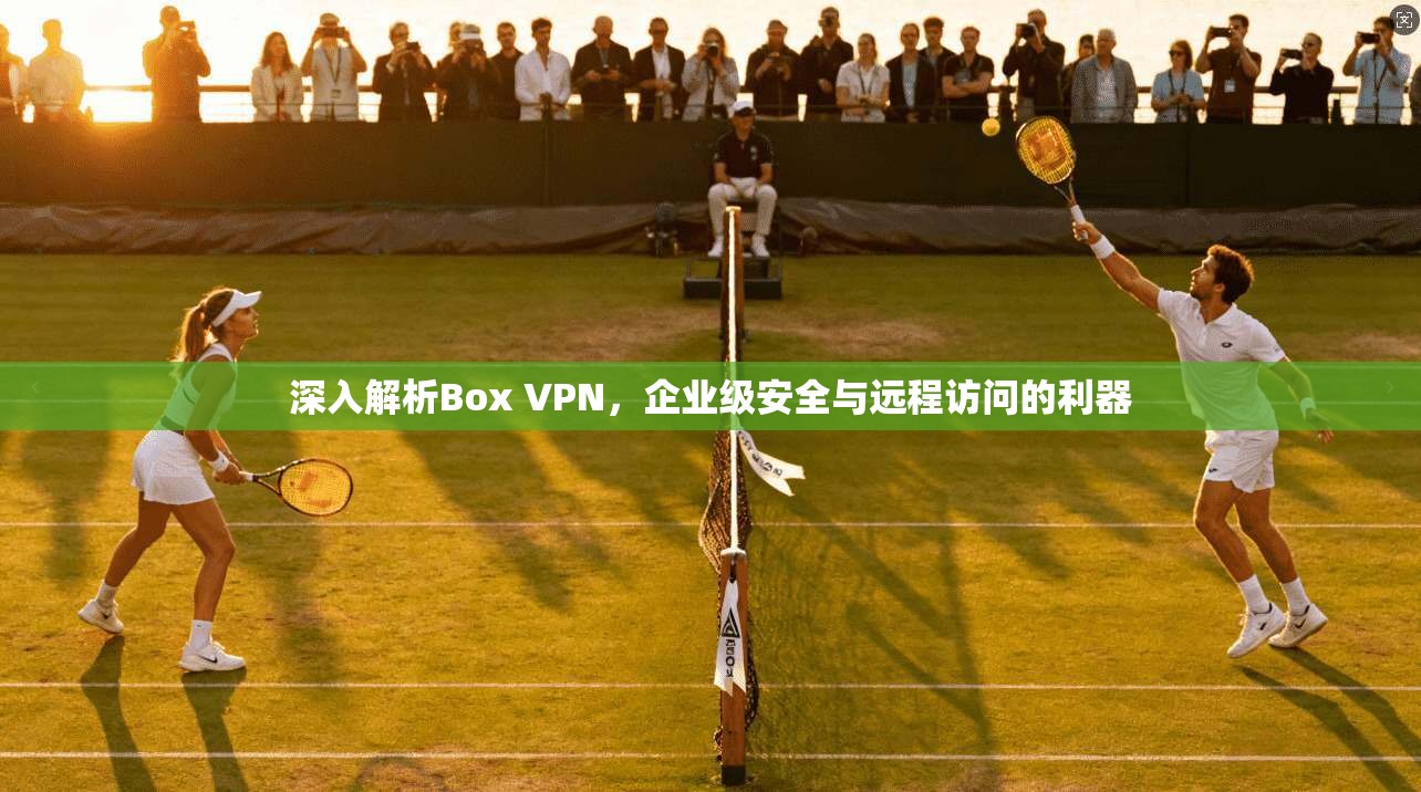 深入解析Box VPN，企业级安全与远程访问的利器  第1张