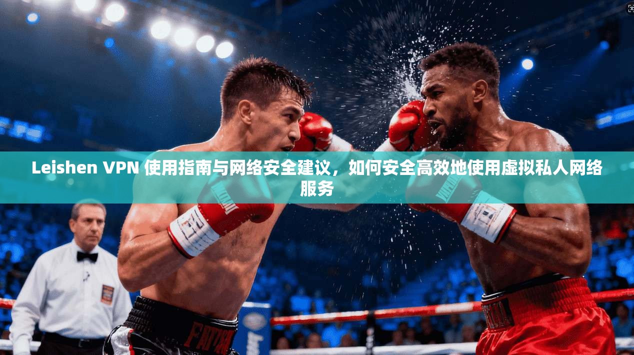 Leishen VPN 使用指南与网络安全建议，如何安全高效地使用虚拟私人网络服务  第1张
