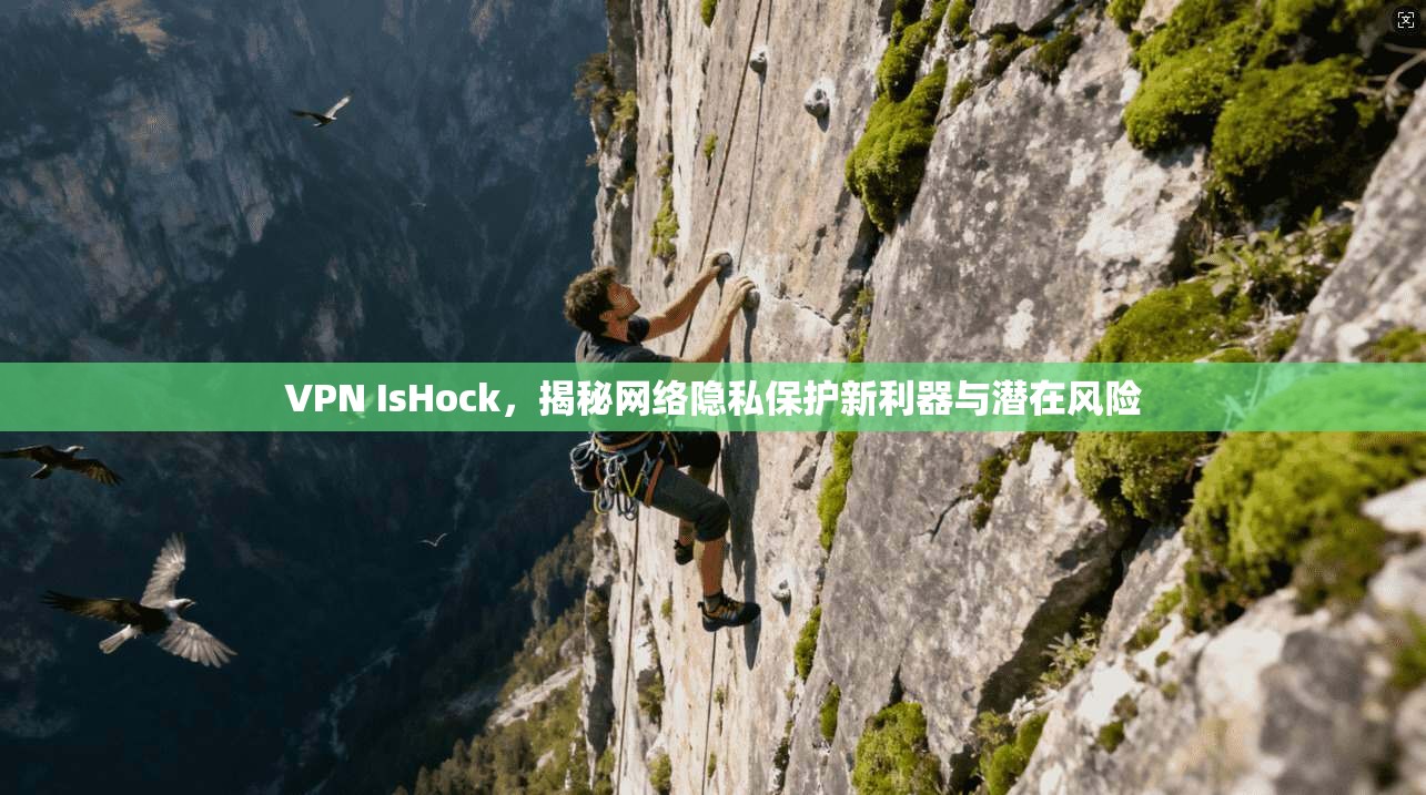 VPN IsHock，揭秘网络隐私保护新利器与潜在风险  第1张