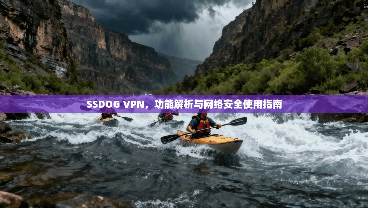 SSDOG VPN，功能解析与网络安全使用指南  第1张