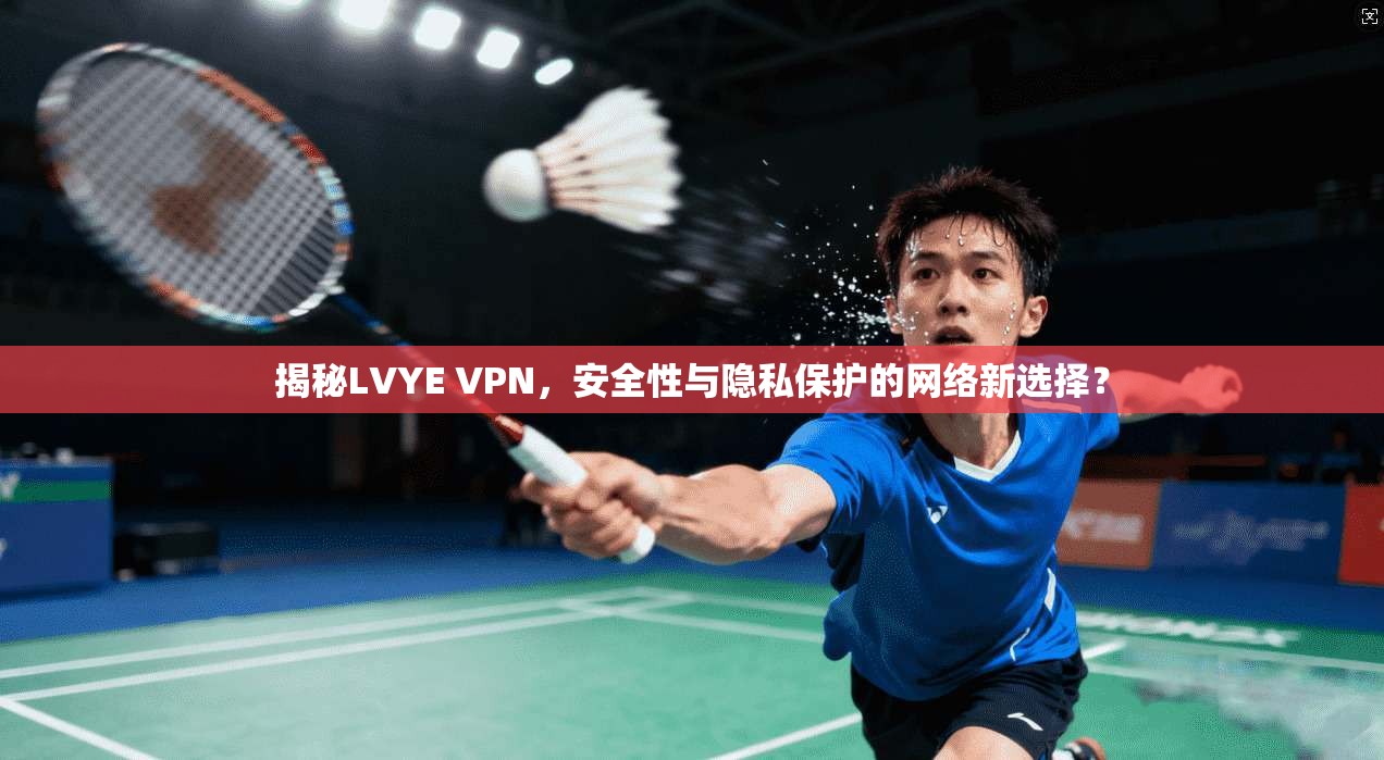 揭秘LVYE VPN，安全性与隐私保护的网络新选择？  第1张