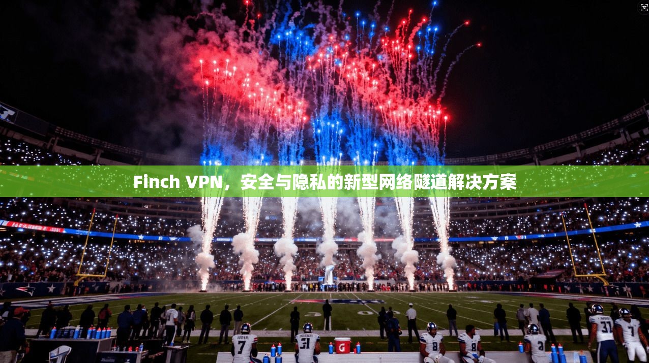 Finch VPN，安全与隐私的新型网络隧道解决方案  第1张