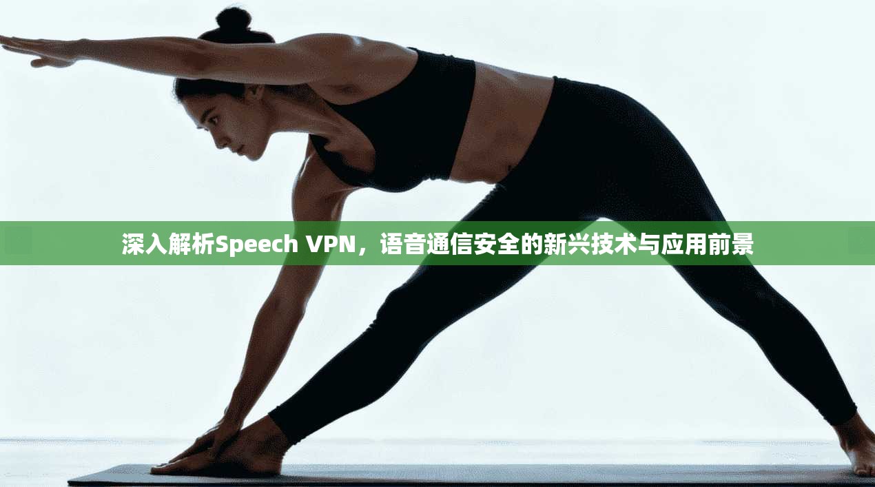 深入解析Speech VPN，语音通信安全的新兴技术与应用前景  第1张