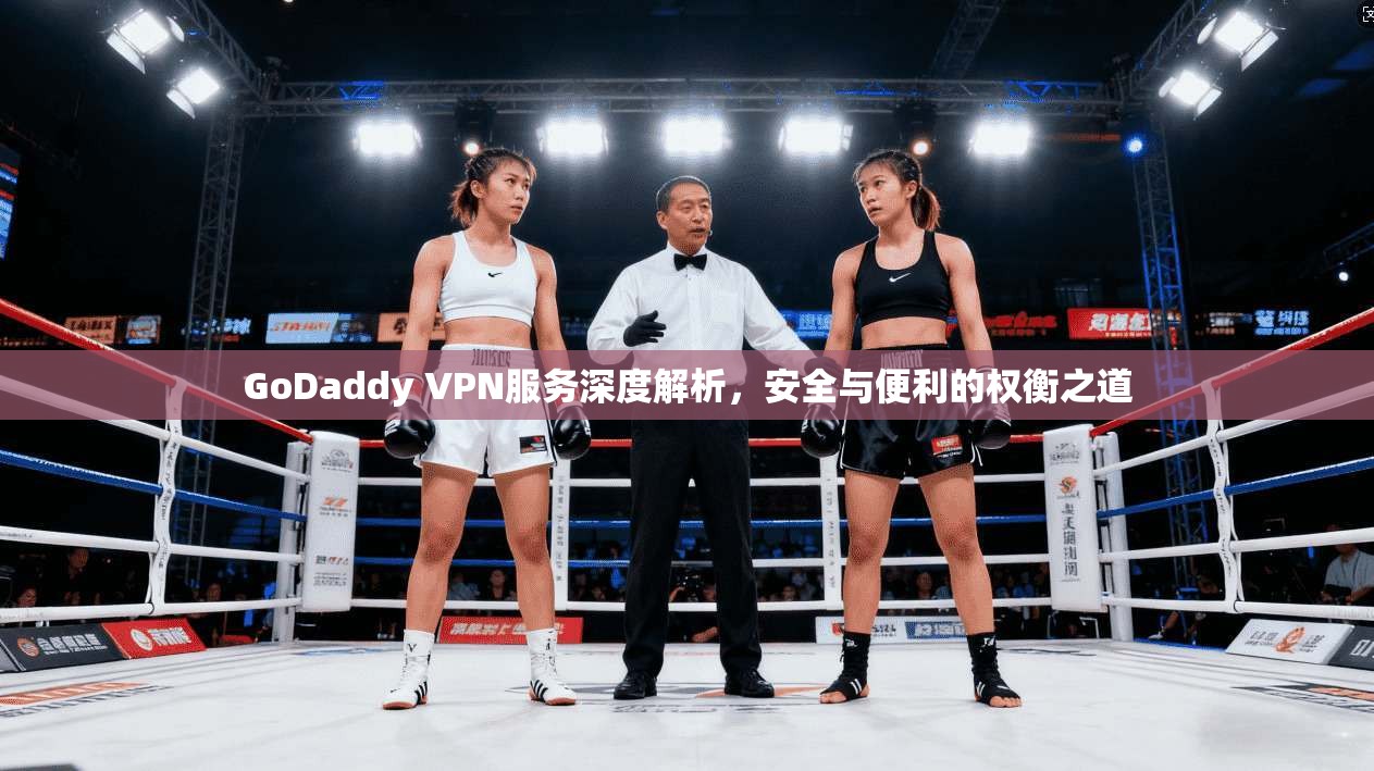 GoDaddy VPN服务深度解析，安全与便利的权衡之道  第1张