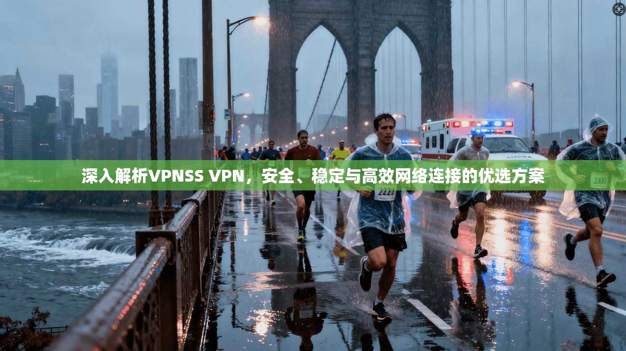 深入解析VPNSS VPN，安全、稳定与高效网络连接的优选方案  第1张