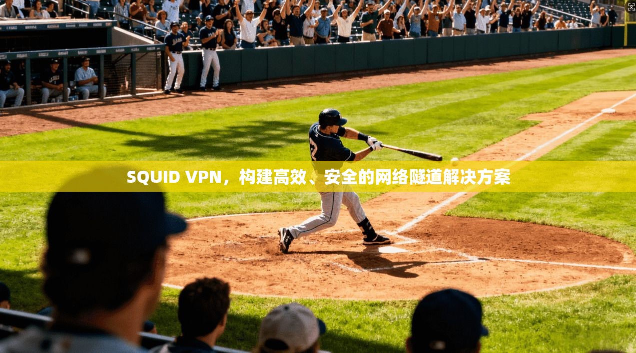 SQUID VPN，构建高效、安全的网络隧道解决方案  第1张