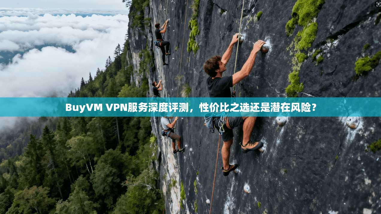 BuyVM VPN服务深度评测，性价比之选还是潜在风险？  第1张