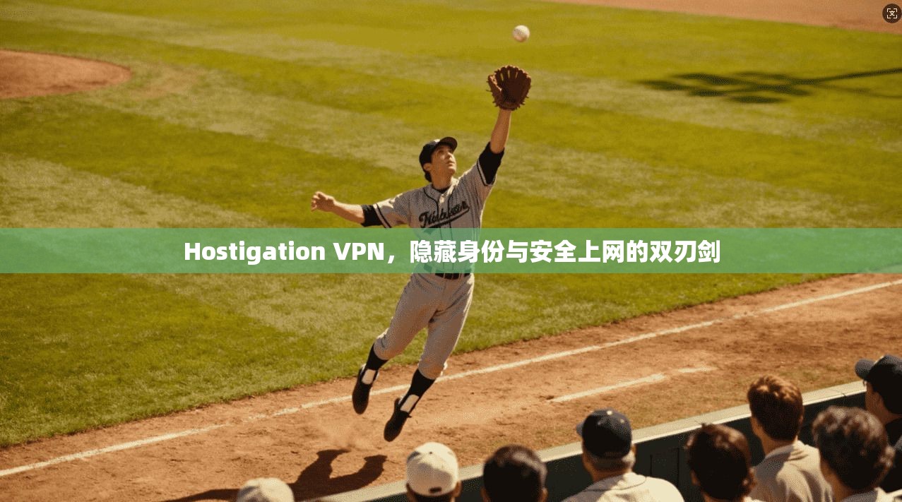 Hostigation VPN，隐藏身份与安全上网的双刃剑  第1张