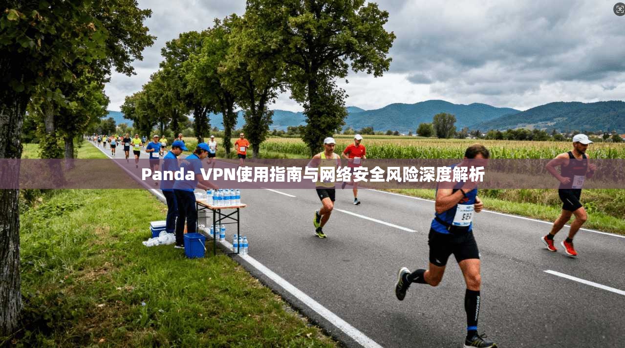 Panda VPN使用指南与网络安全风险深度解析  第1张