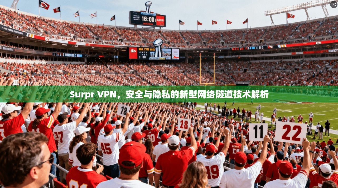 Surpr VPN，安全与隐私的新型网络隧道技术解析  第1张