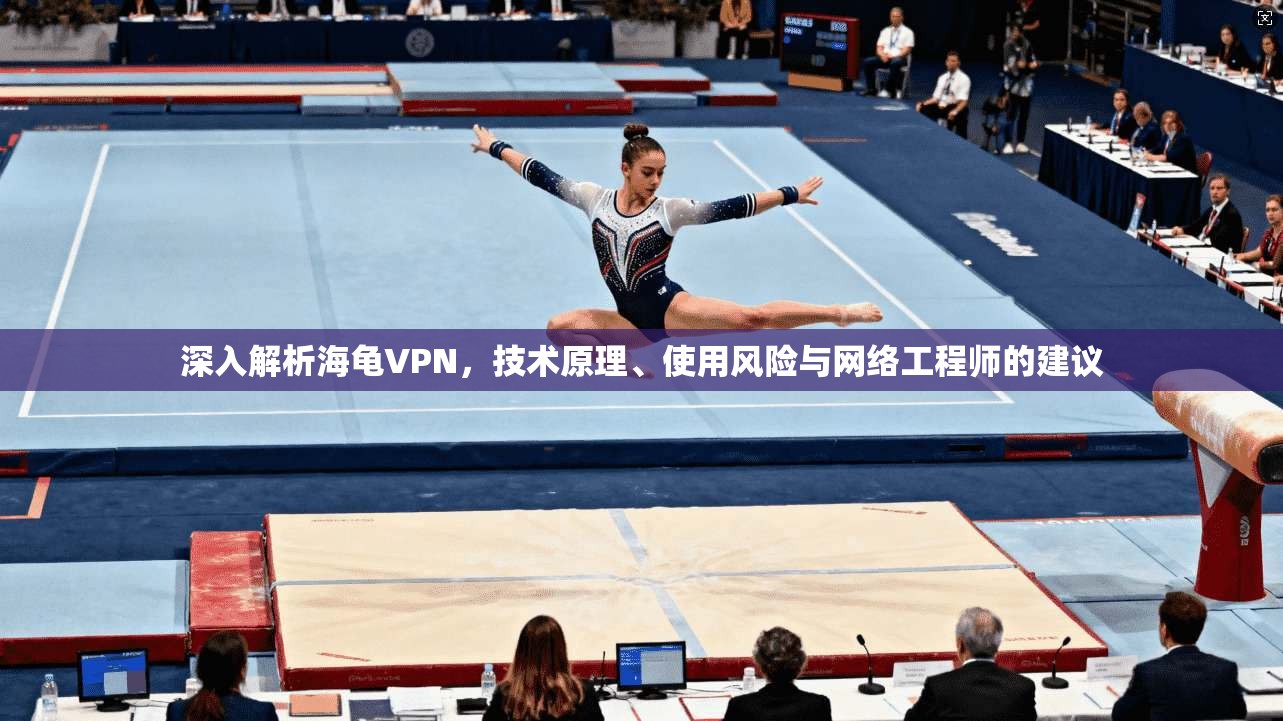 深入解析海龟VPN，技术原理、使用风险与网络工程师的建议  第1张