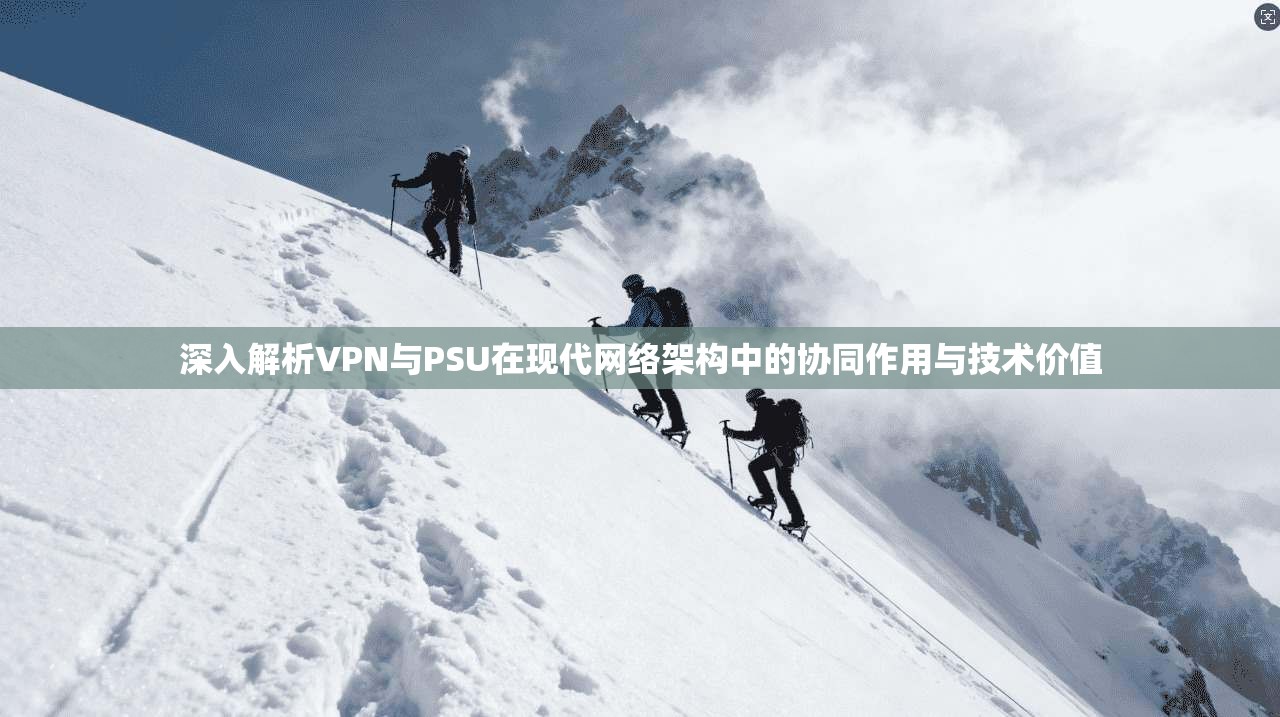 深入解析VPN与PSU在现代网络架构中的协同作用与技术价值  第1张