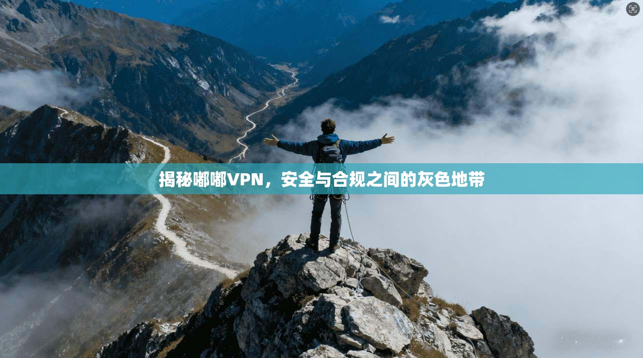 揭秘嘟嘟VPN，安全与合规之间的灰色地带  第1张