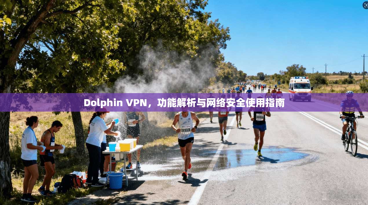 Dolphin VPN，功能解析与网络安全使用指南  第1张