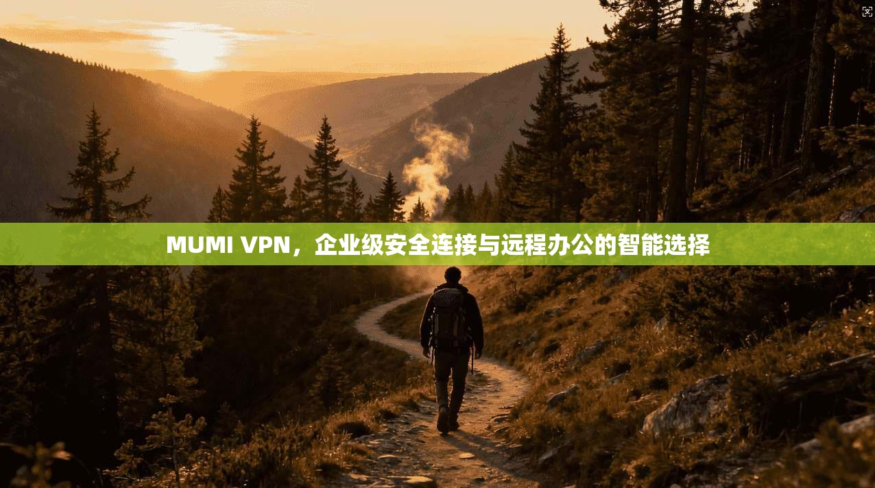 MUMI VPN，企业级安全连接与远程办公的智能选择  第1张