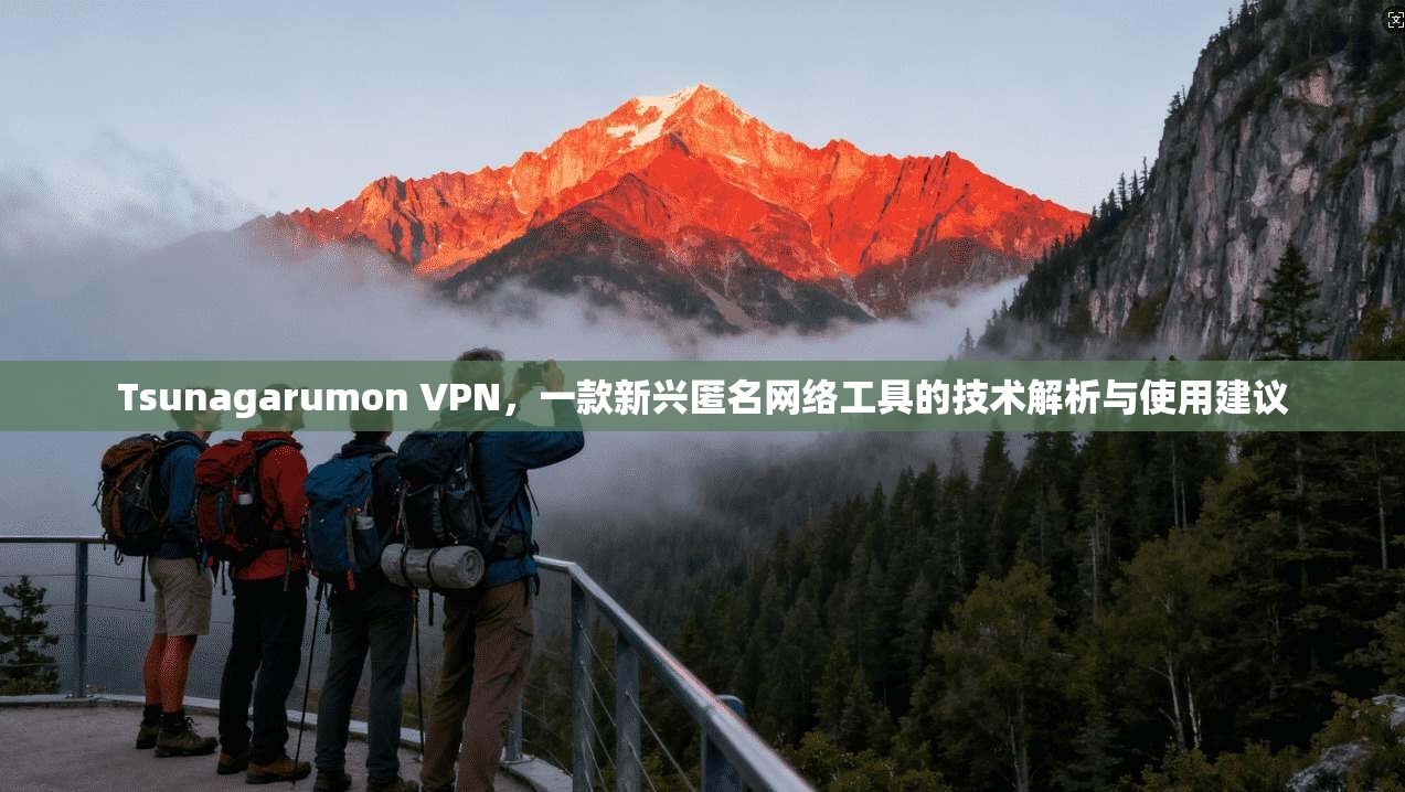 Tsunagarumon VPN，一款新兴匿名网络工具的技术解析与使用建议  第1张