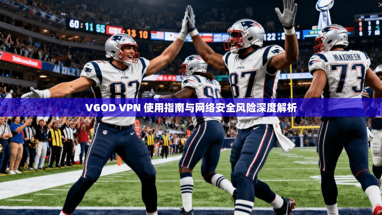 VGOD VPN 使用指南与网络安全风险深度解析  第1张