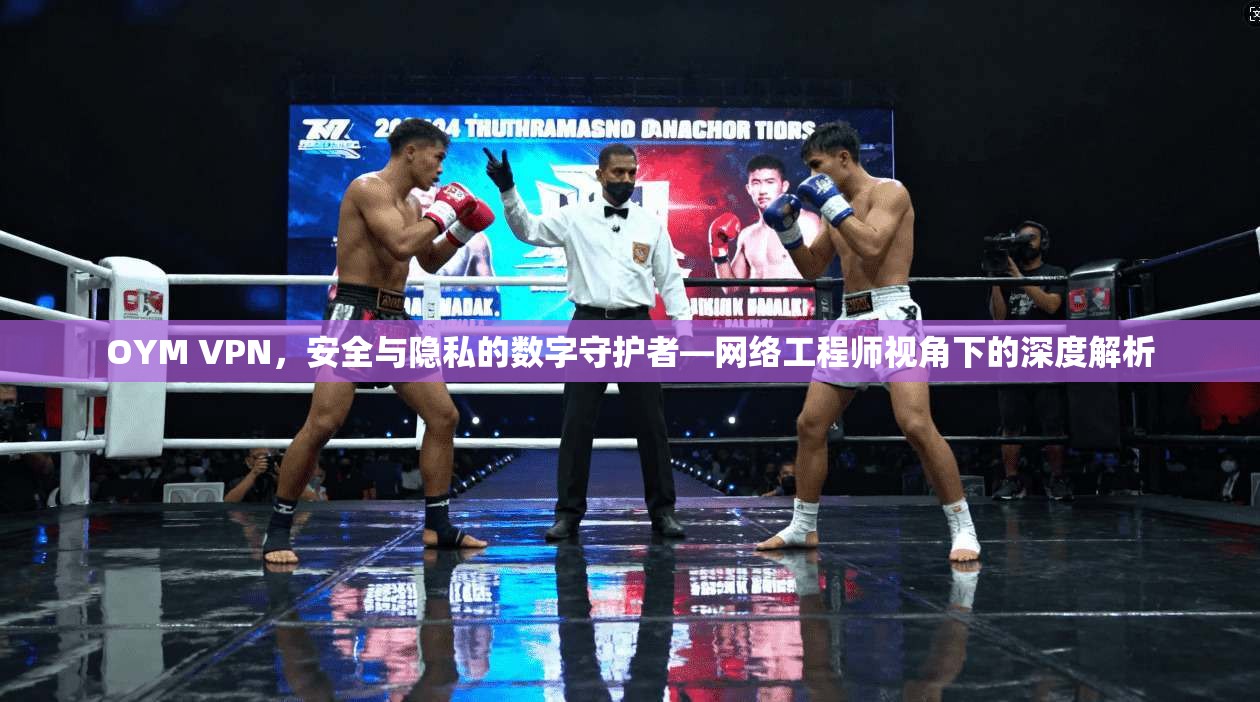 OYM VPN，安全与隐私的数字守护者—网络工程师视角下的深度解析  第1张