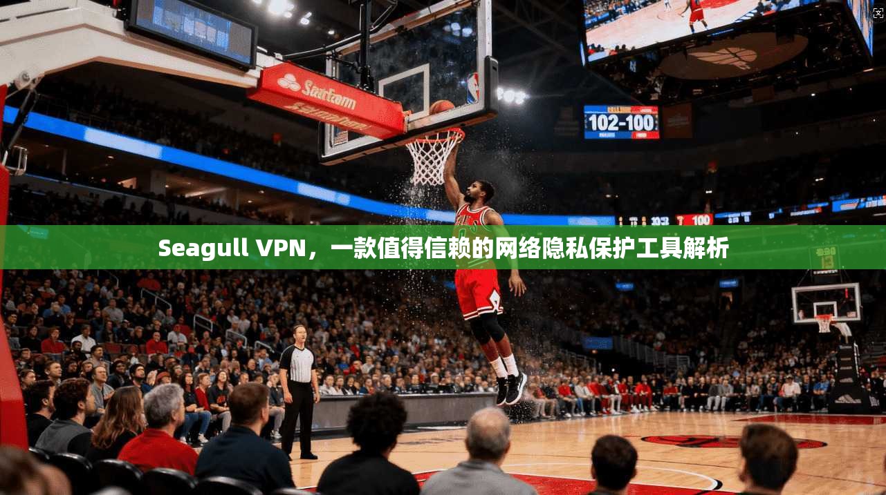 Seagull VPN，一款值得信赖的网络隐私保护工具解析  第1张