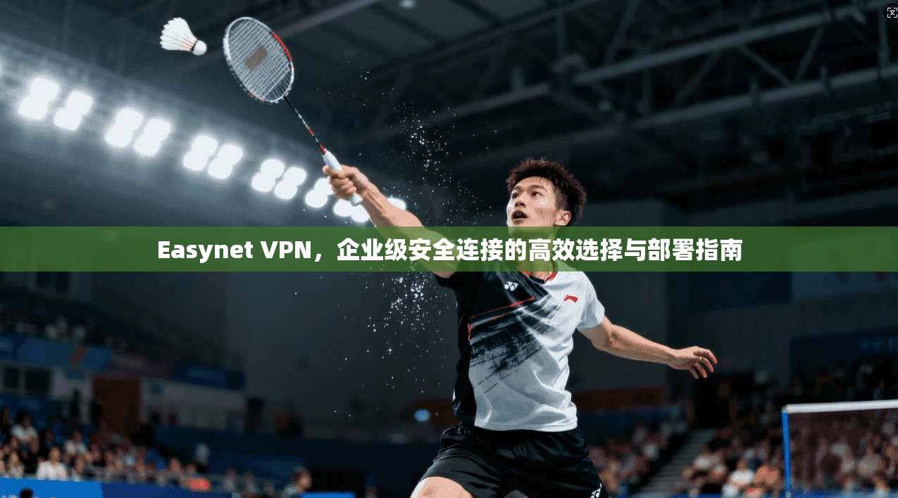 Easynet VPN，企业级安全连接的高效选择与部署指南  第1张