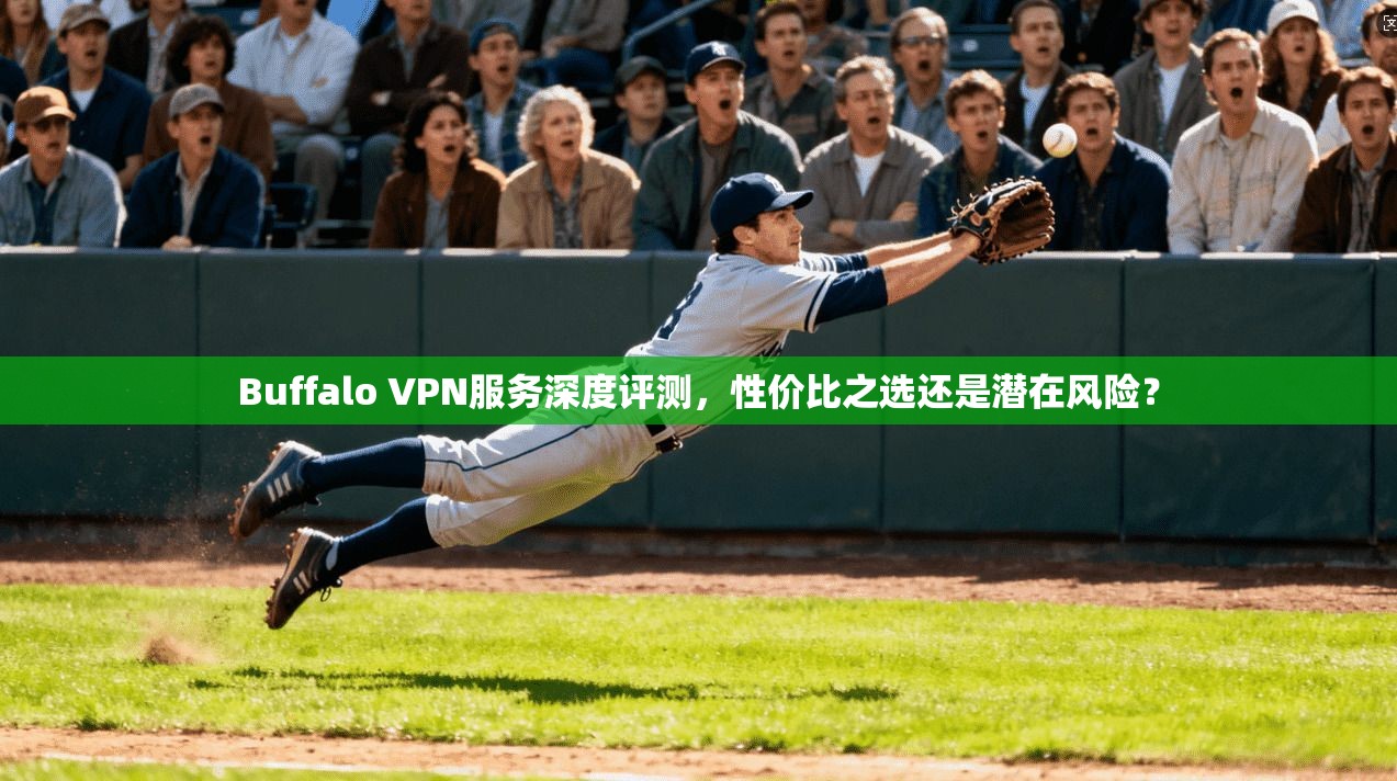 Buffalo VPN服务深度评测，性价比之选还是潜在风险？  第1张