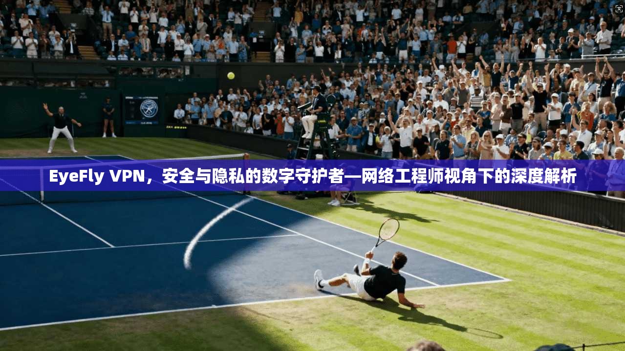 EyeFly VPN，安全与隐私的数字守护者—网络工程师视角下的深度解析  第1张