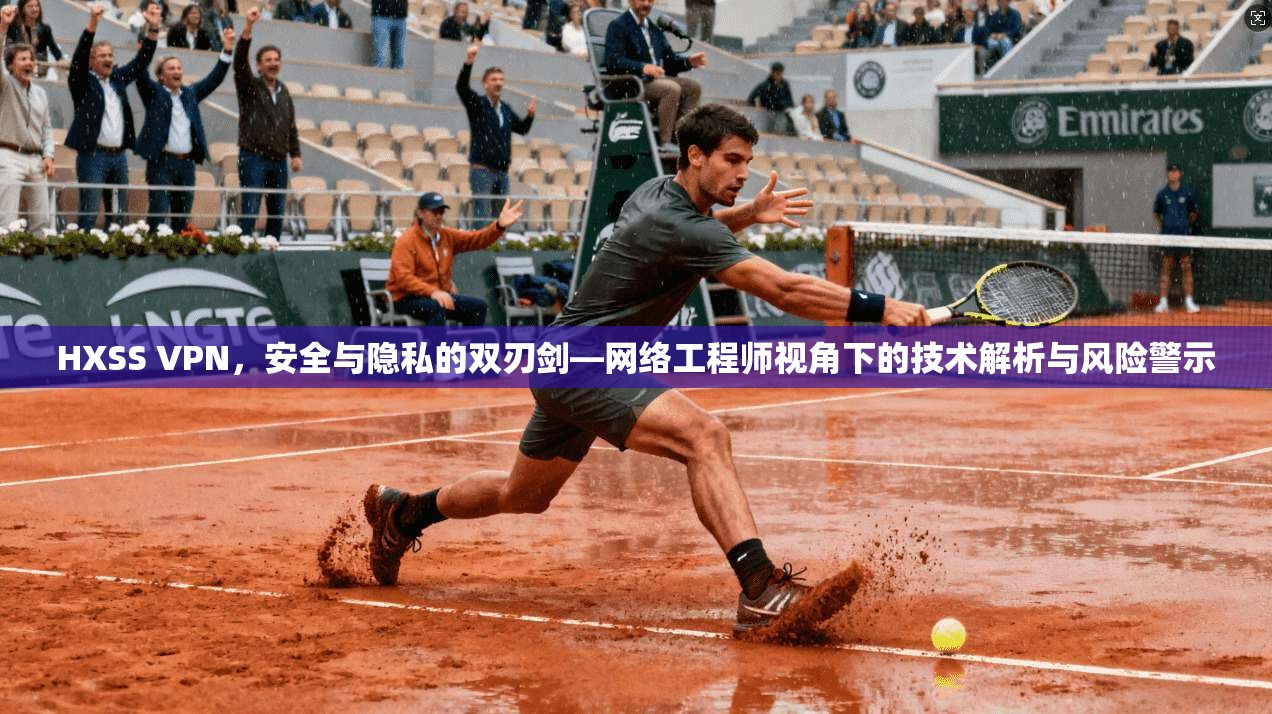 HXSS VPN，安全与隐私的双刃剑—网络工程师视角下的技术解析与风险警示  第1张