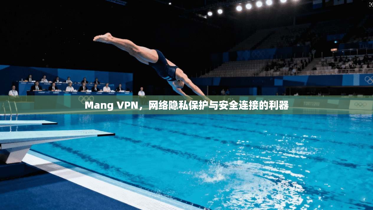Mang VPN，网络隐私保护与安全连接的利器  第1张