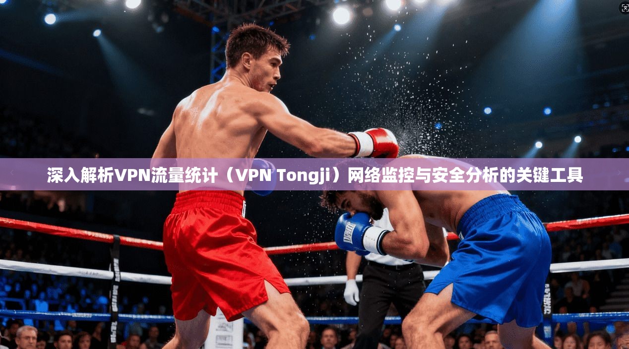 深入解析VPN流量统计（VPN Tongji）网络监控与安全分析的关键工具  第1张