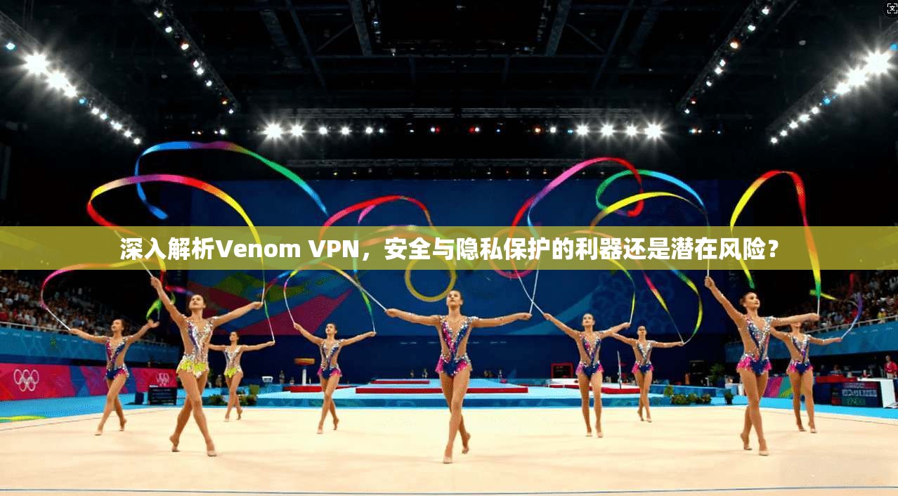 深入解析Venom VPN，安全与隐私保护的利器还是潜在风险？  第1张