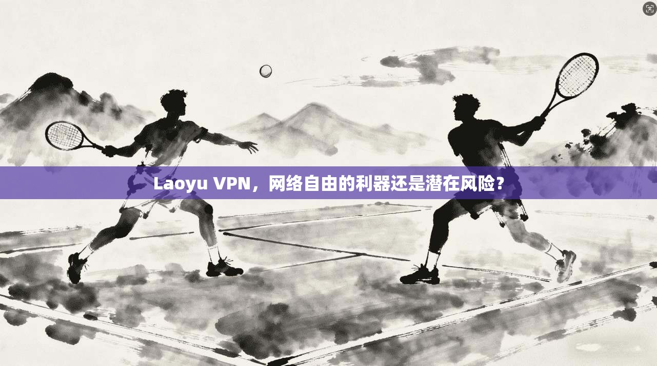 Laoyu VPN，网络自由的利器还是潜在风险？  第1张