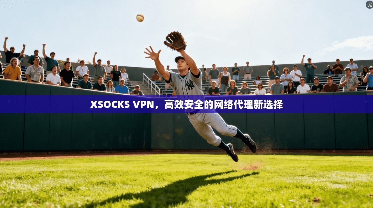 XSOCKS VPN，高效安全的网络代理新选择  第1张