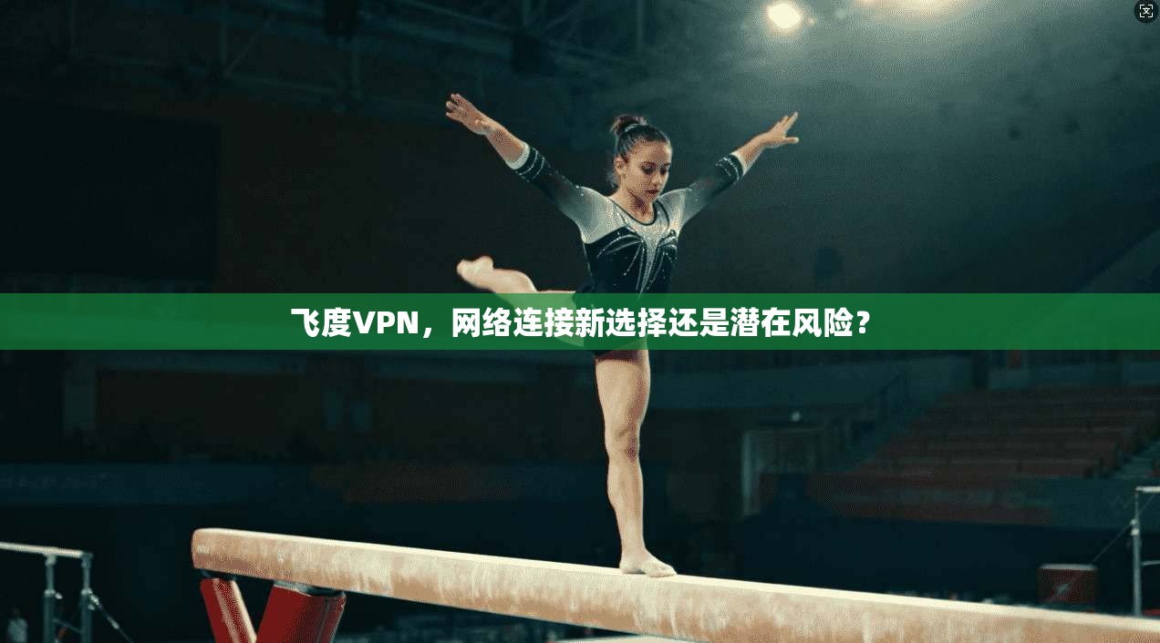 飞度VPN，网络连接新选择还是潜在风险？  第1张