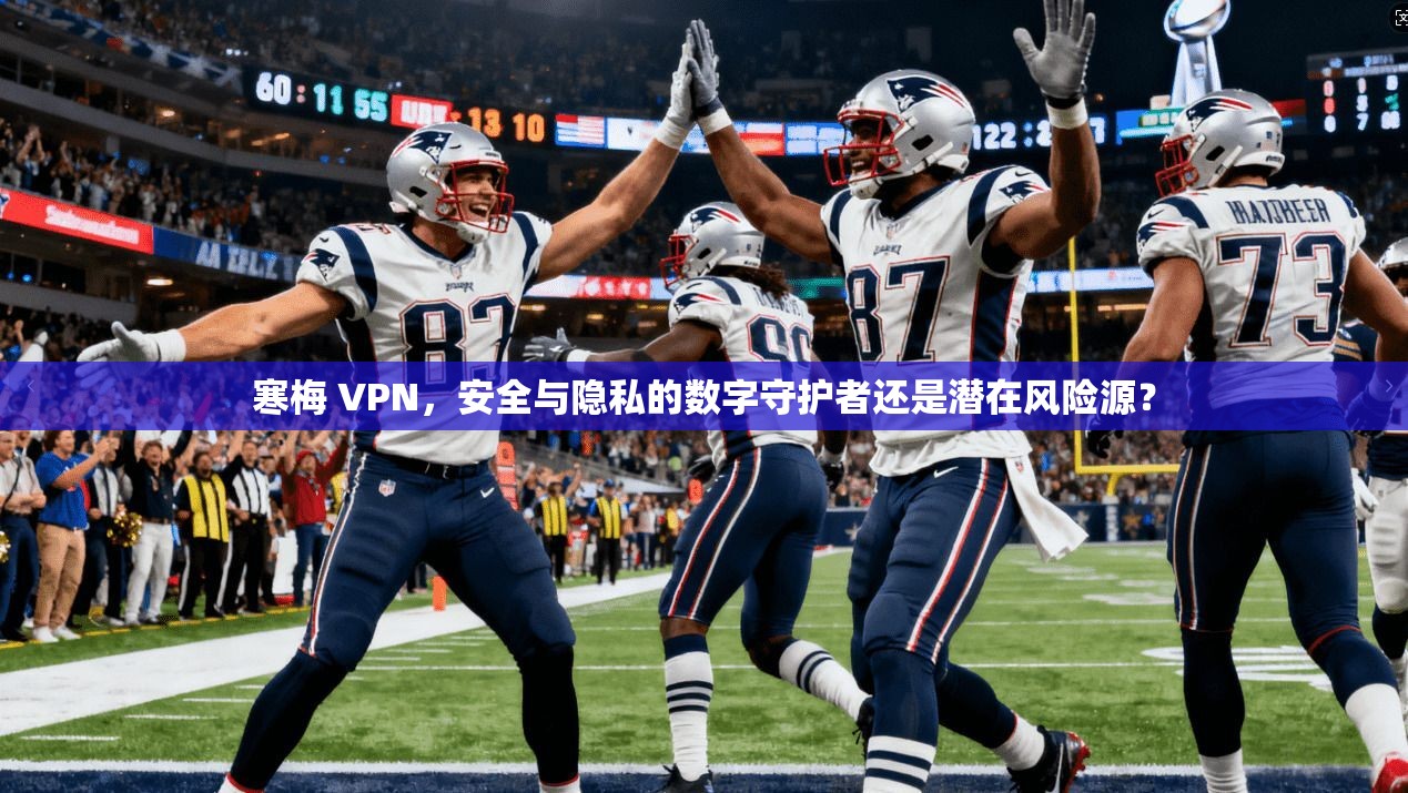 寒梅 VPN，安全与隐私的数字守护者还是潜在风险源？  第1张