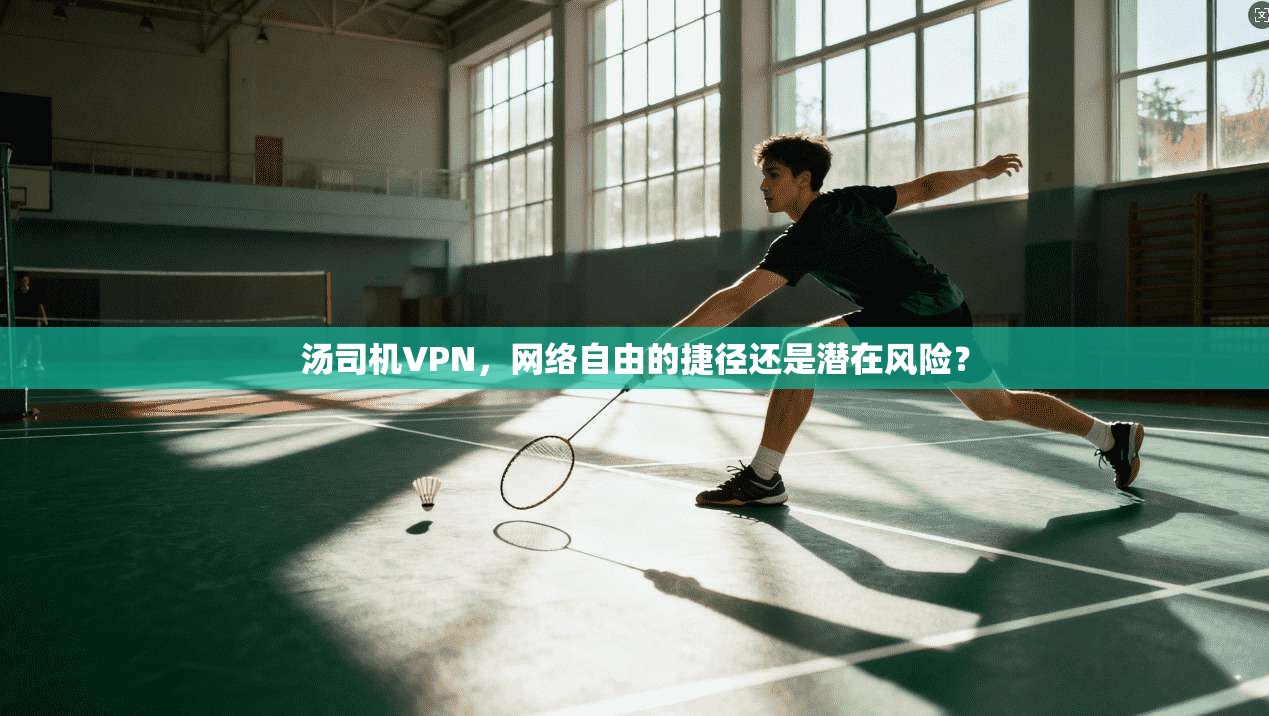 汤司机VPN，网络自由的捷径还是潜在风险？  第1张