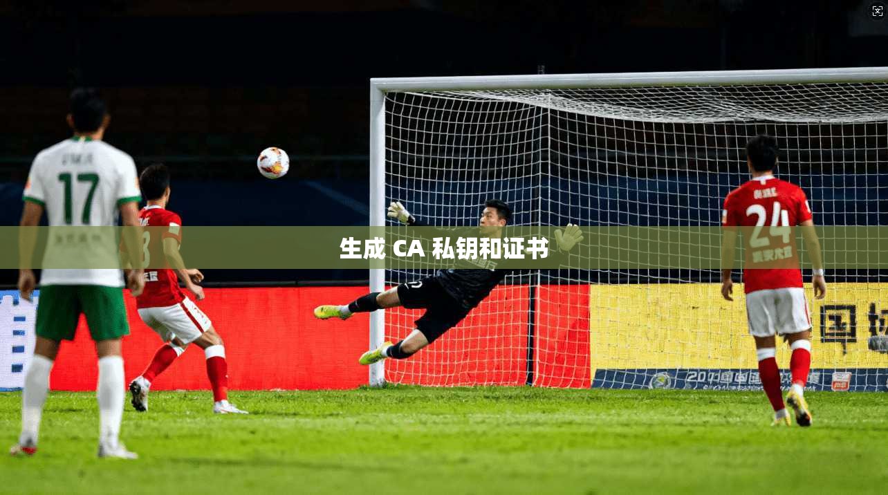 生成 CA 私钥和证书  第1张