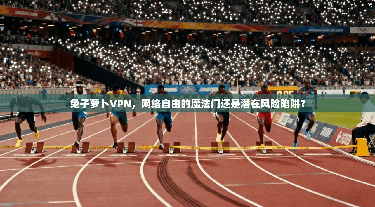 兔子萝卜VPN，网络自由的魔法门还是潜在风险陷阱？  第1张