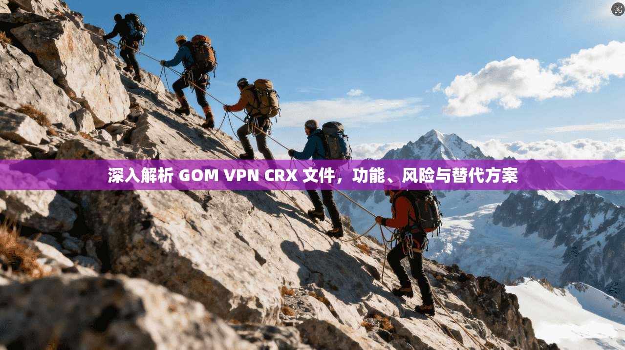 深入解析 GOM VPN CRX 文件，功能、风险与替代方案  第1张