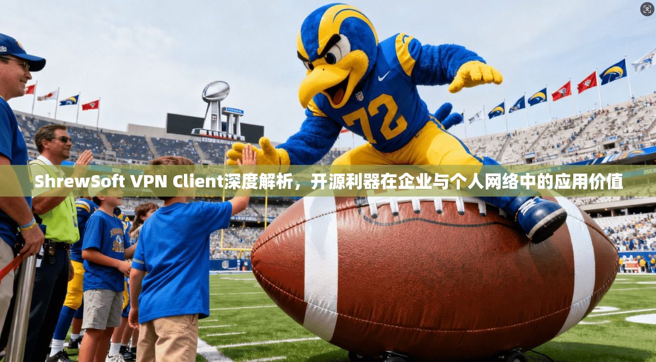 ShrewSoft VPN Client深度解析，开源利器在企业与个人网络中的应用价值  第1张