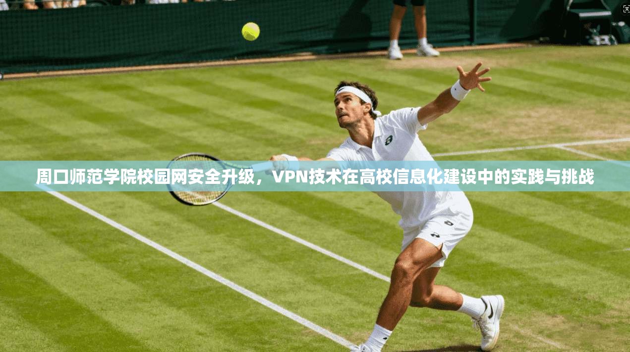 周口师范学院校园网安全升级，VPN技术在高校信息化建设中的实践与挑战  第1张