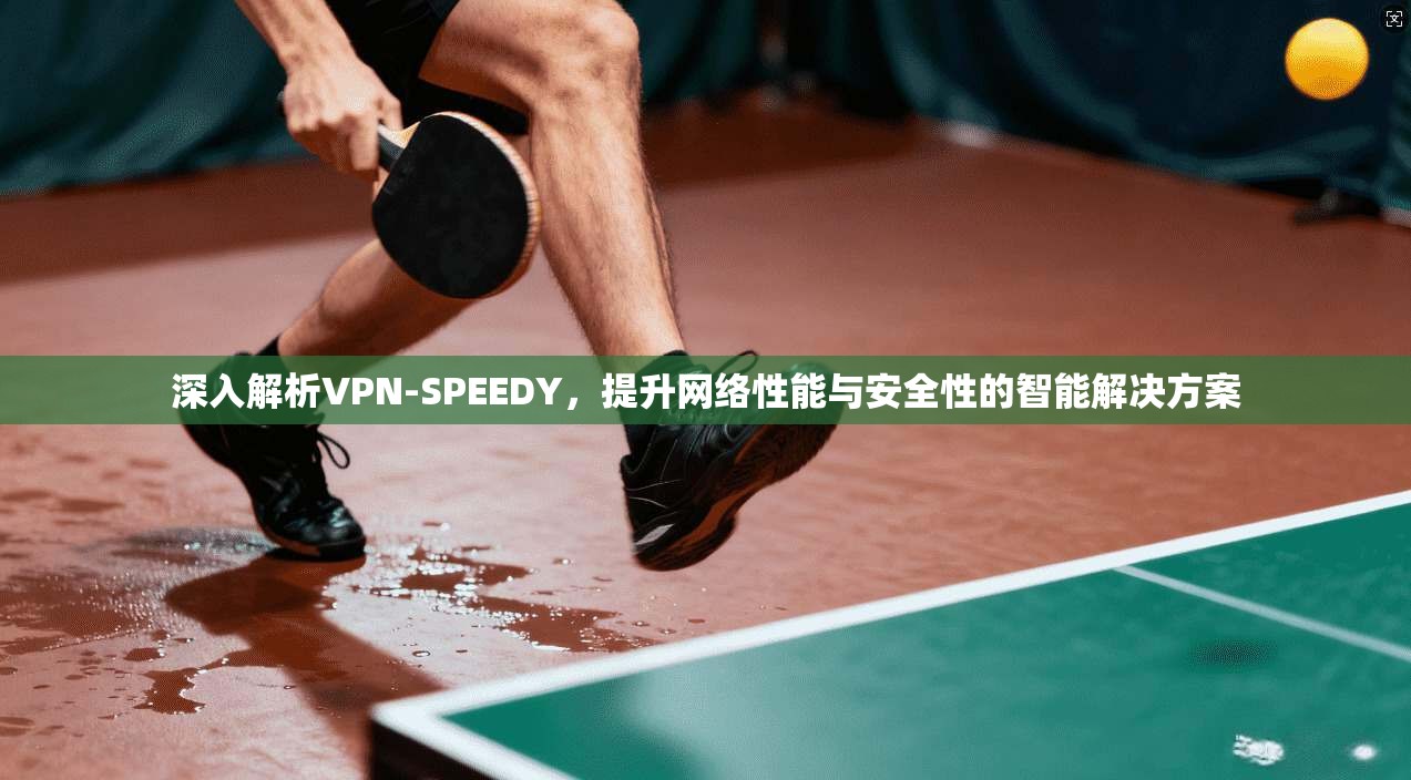 深入解析VPN-SPEEDY，提升网络性能与安全性的智能解决方案  第1张