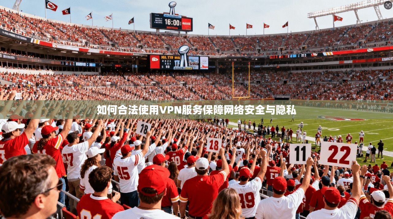 如何合法使用VPN服务保障网络安全与隐私  第1张