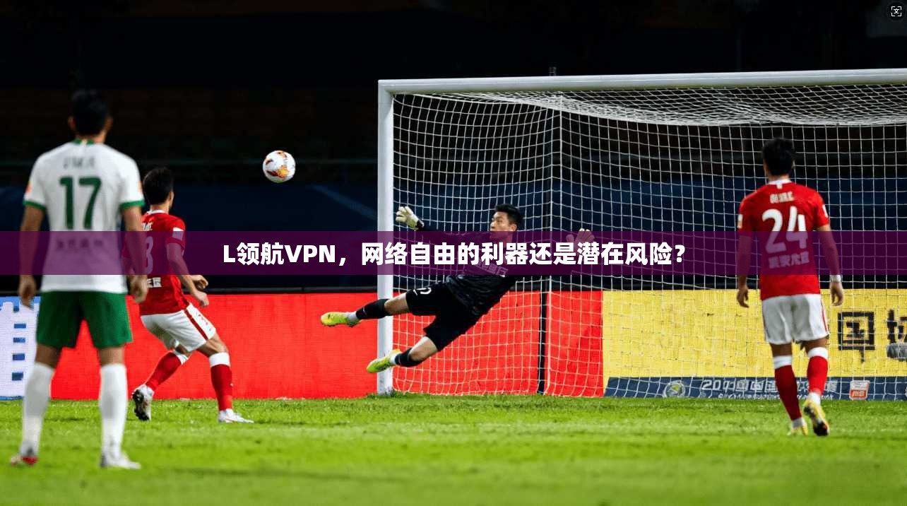 L领航VPN，网络自由的利器还是潜在风险？  第1张
