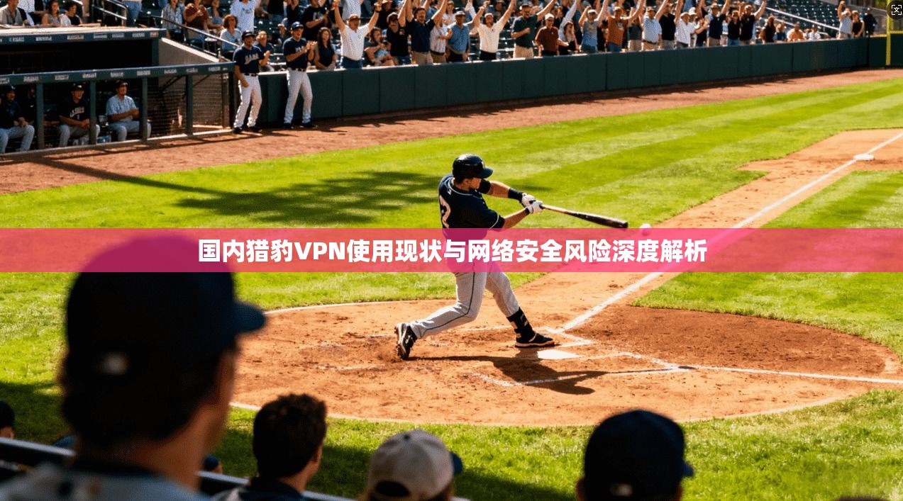国内猎豹VPN使用现状与网络安全风险深度解析  第1张
