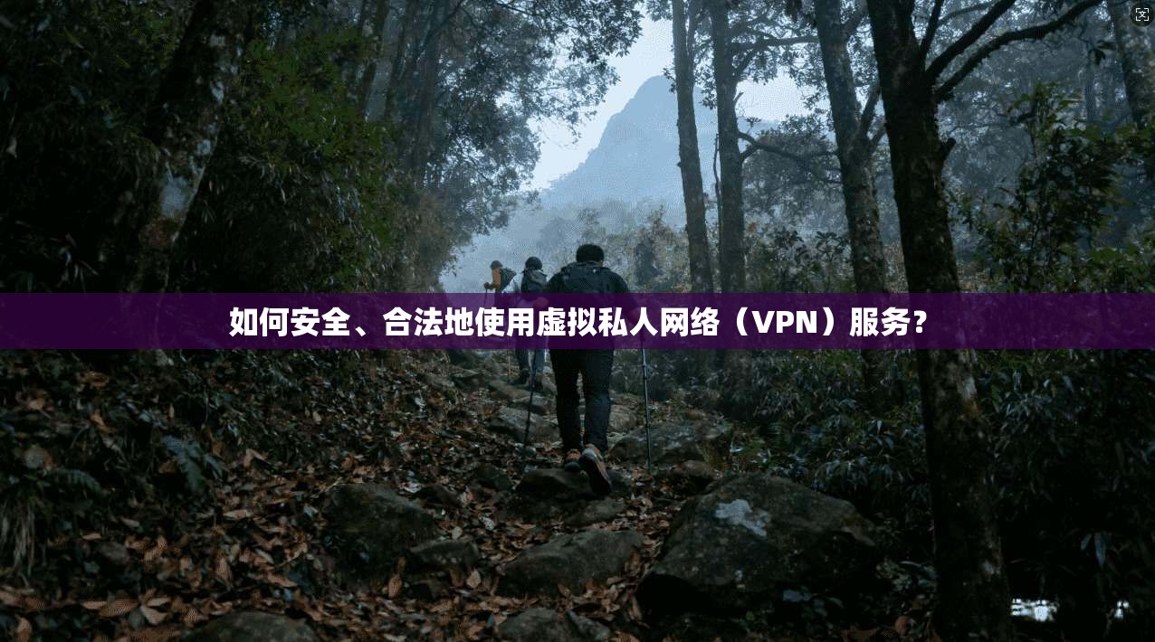 如何安全、合法地使用虚拟私人网络（VPN）服务？  第1张