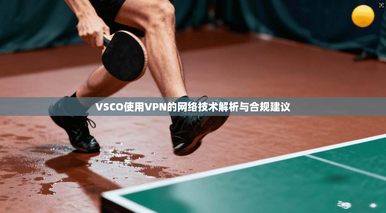 VSCO使用VPN的网络技术解析与合规建议  第1张