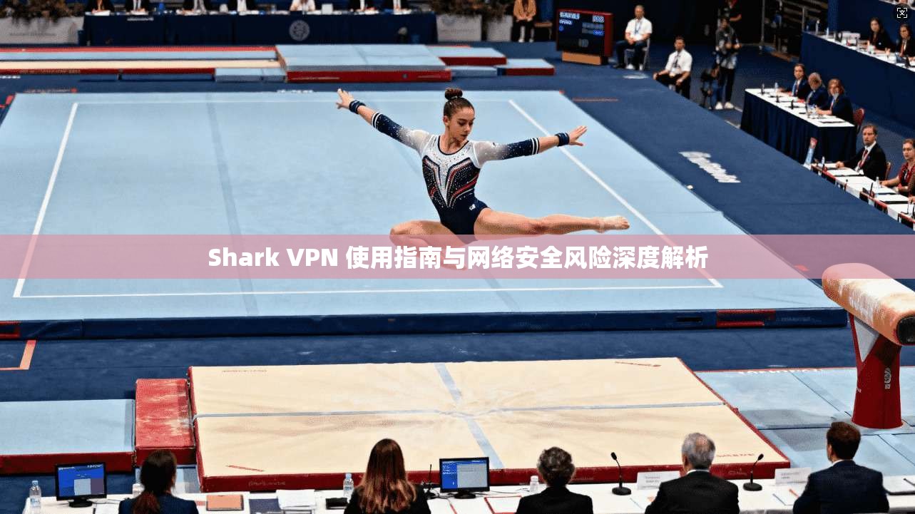 Shark VPN 使用指南与网络安全风险深度解析  第1张