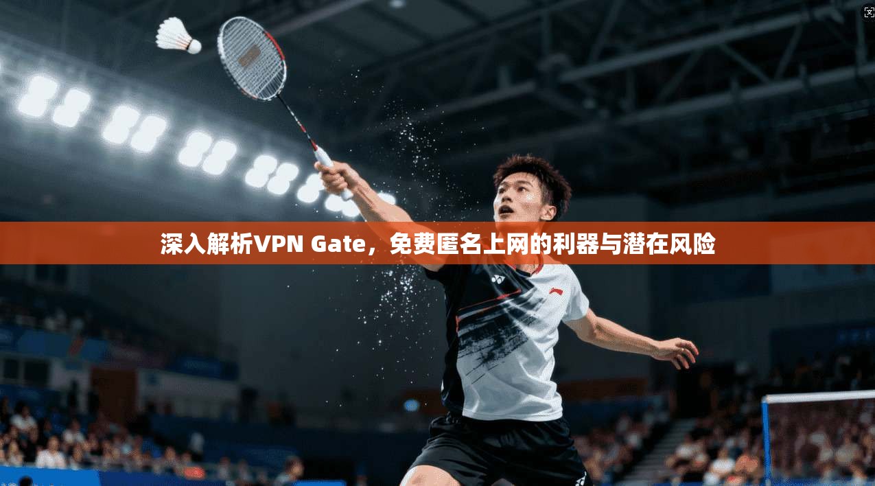 深入解析VPN Gate，免费匿名上网的利器与潜在风险  第1张